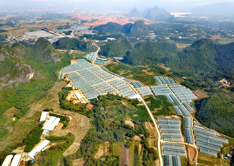 广西立异落实设施农业用地治理助力墟落振兴