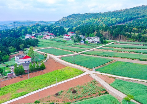 广元市推行“卫星田长”科技助力精准；じ