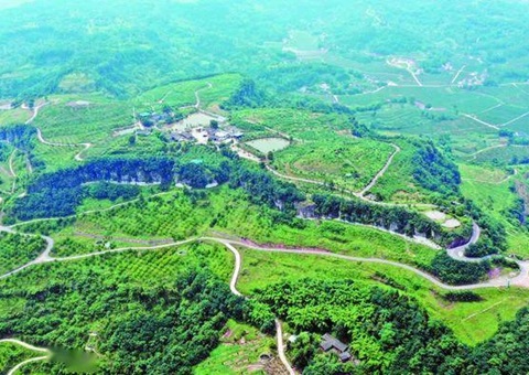 广安市土地综合整治为墟落振兴“塑形”