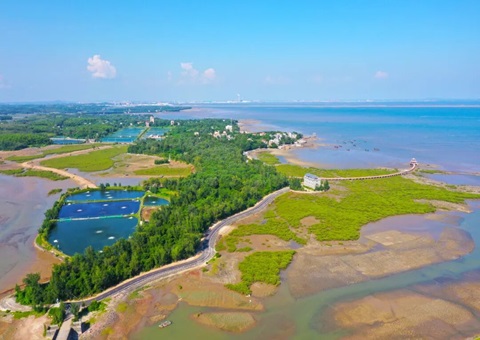 广西北部湾畔：：墟落妄想引领古渔村“蝶变”