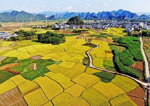 强化“指挥棒”作用  柳州市发放500万元耕地；ぁ凹だ彀