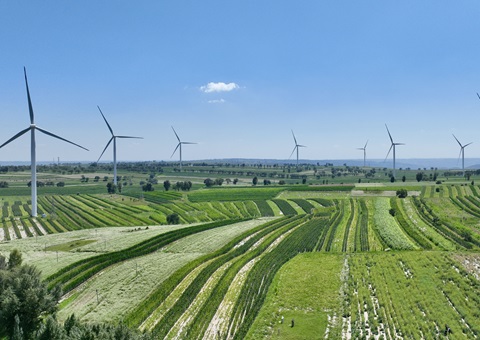 陕西省榆林市定边县：：：领土空间妄想“一张图”实现营业“一站式”高效办理