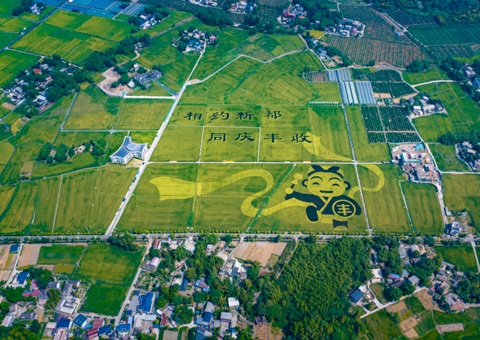 成都宣布耕地；；；ね！未来10年这样筑牢“天府粮仓”基本