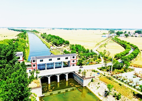 淮北市：“聘”好驻镇妄想师 做优“陪同式”墟落妄想服务