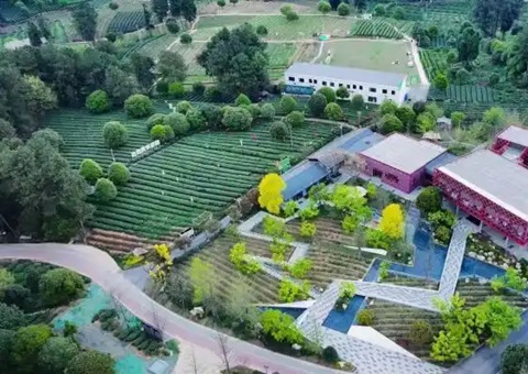 林间“种”出科创空间：四川蒲江用生态颜值撬动经济价值