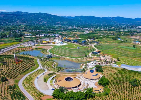 四川金堂：：：从“卖产品”到“卖风物”！！墟落妄想铺路让橘香飘出新滋味