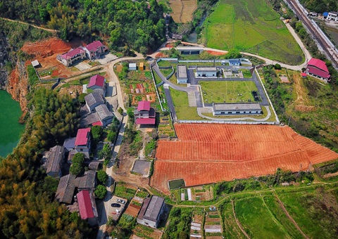 株洲：“三链联动”推动耕地耕作层剥离再使用